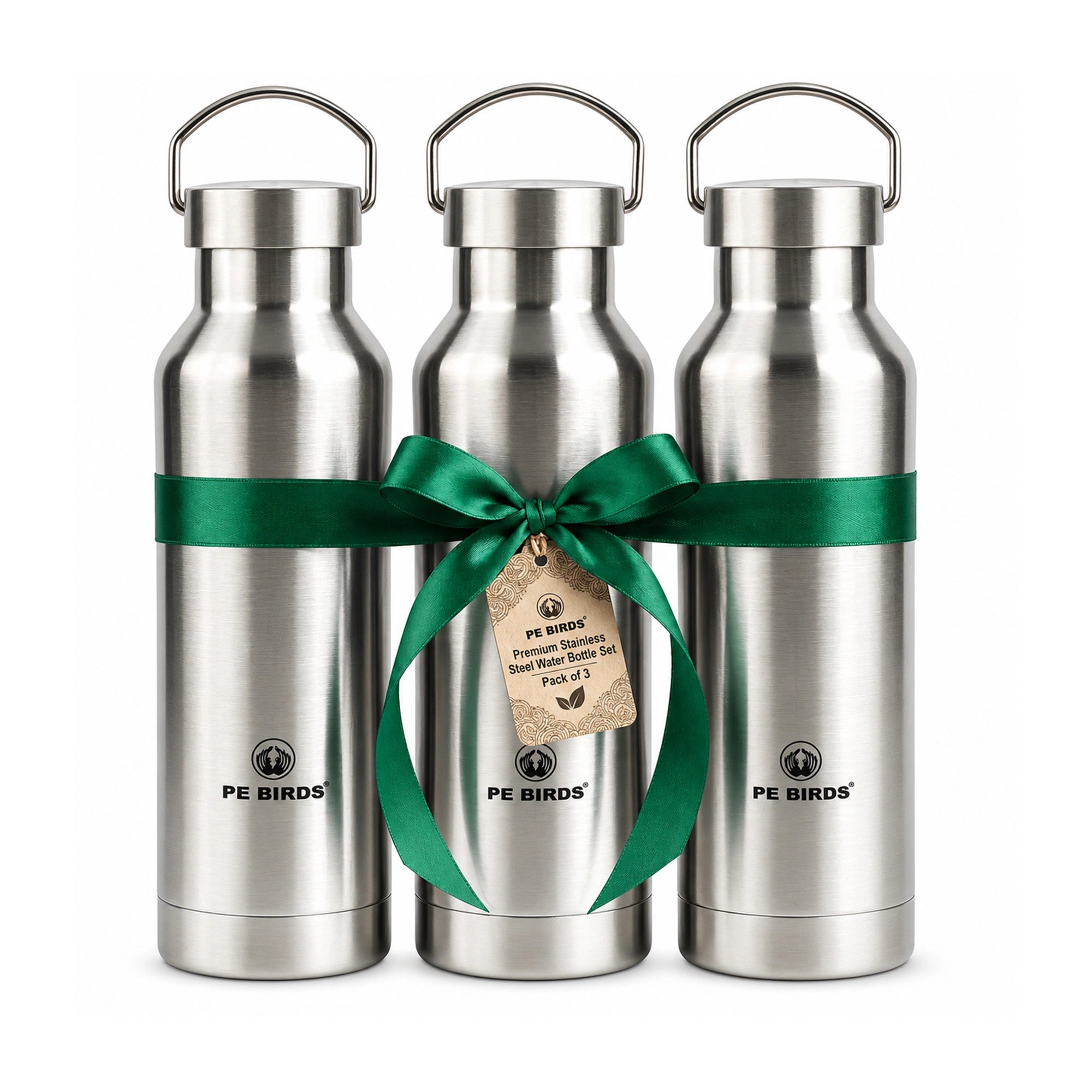 PE Birds Maxo Steel Lid Pack of 3 | 750ml Stainless Steel Bottles