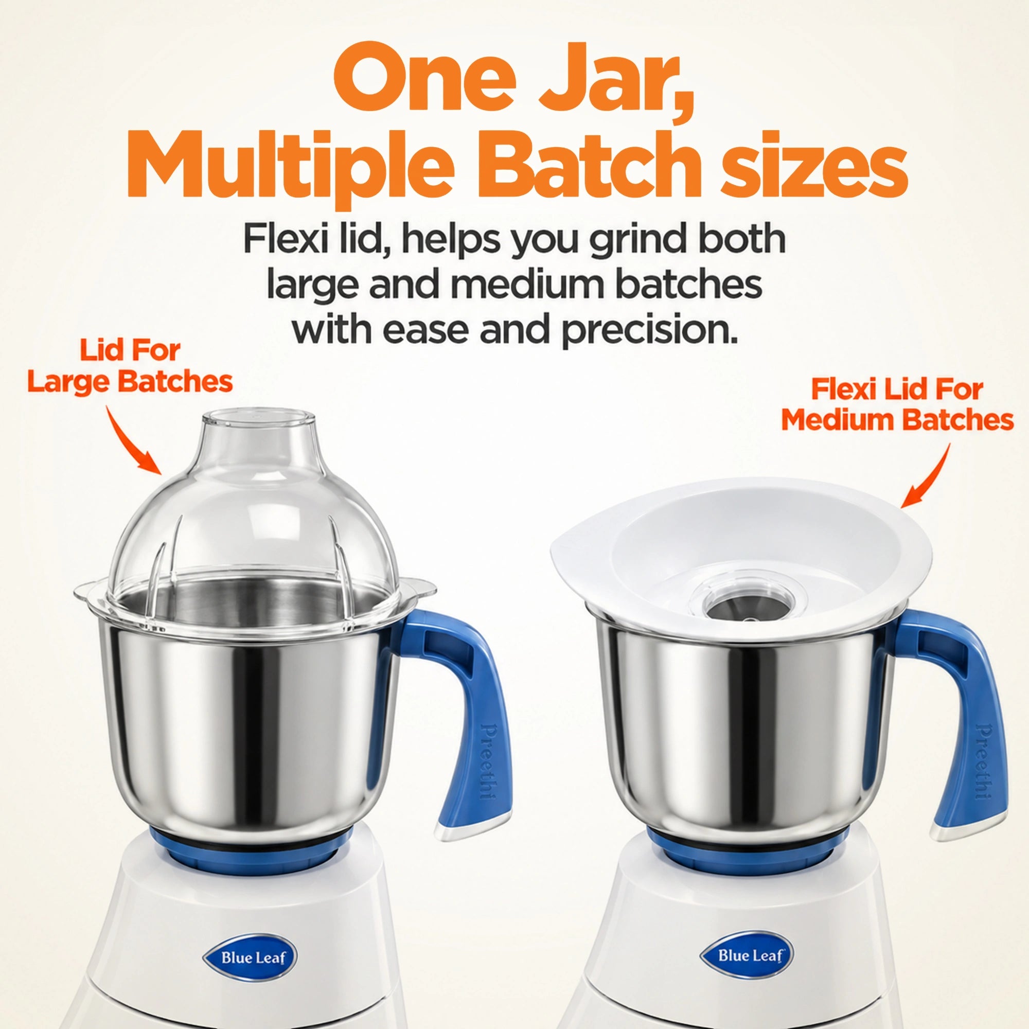 Preethi Blue Leaf Diamond 750W Mixer Grinder | 3 Jars